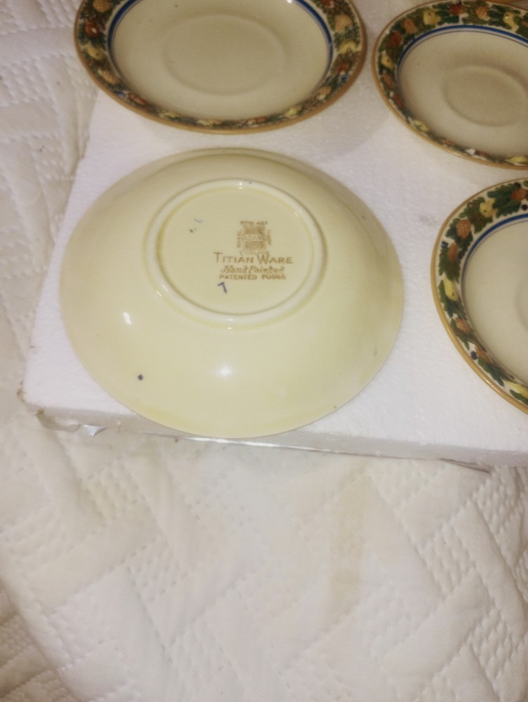 Titian Ware Hand Painted Ceramic Dinner Set Floral Border 9-Piece