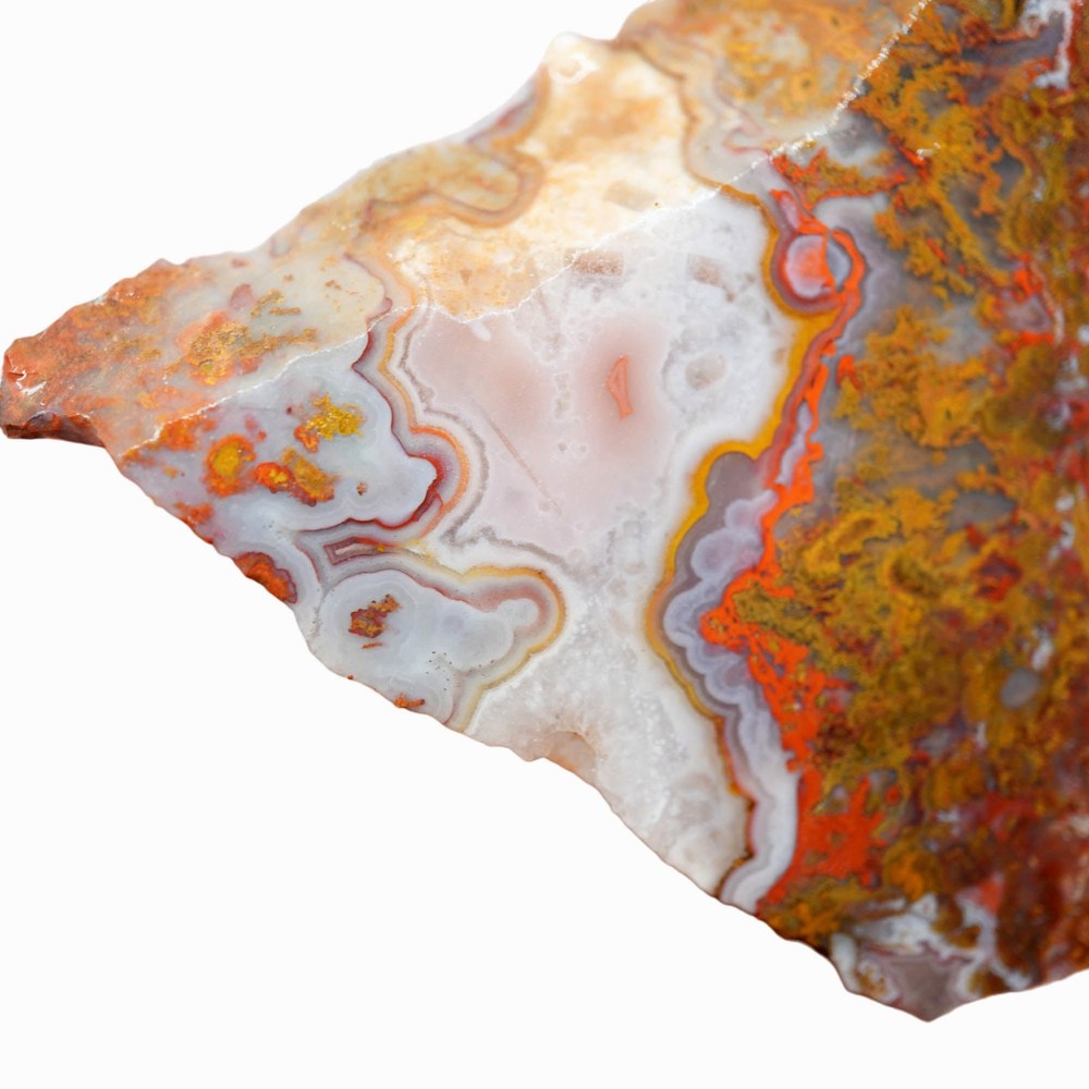 Apple Valley Agate Slab - Multicolor Fortification Tubes Moss
