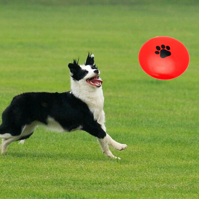 Squeaky Disc Dog Toy