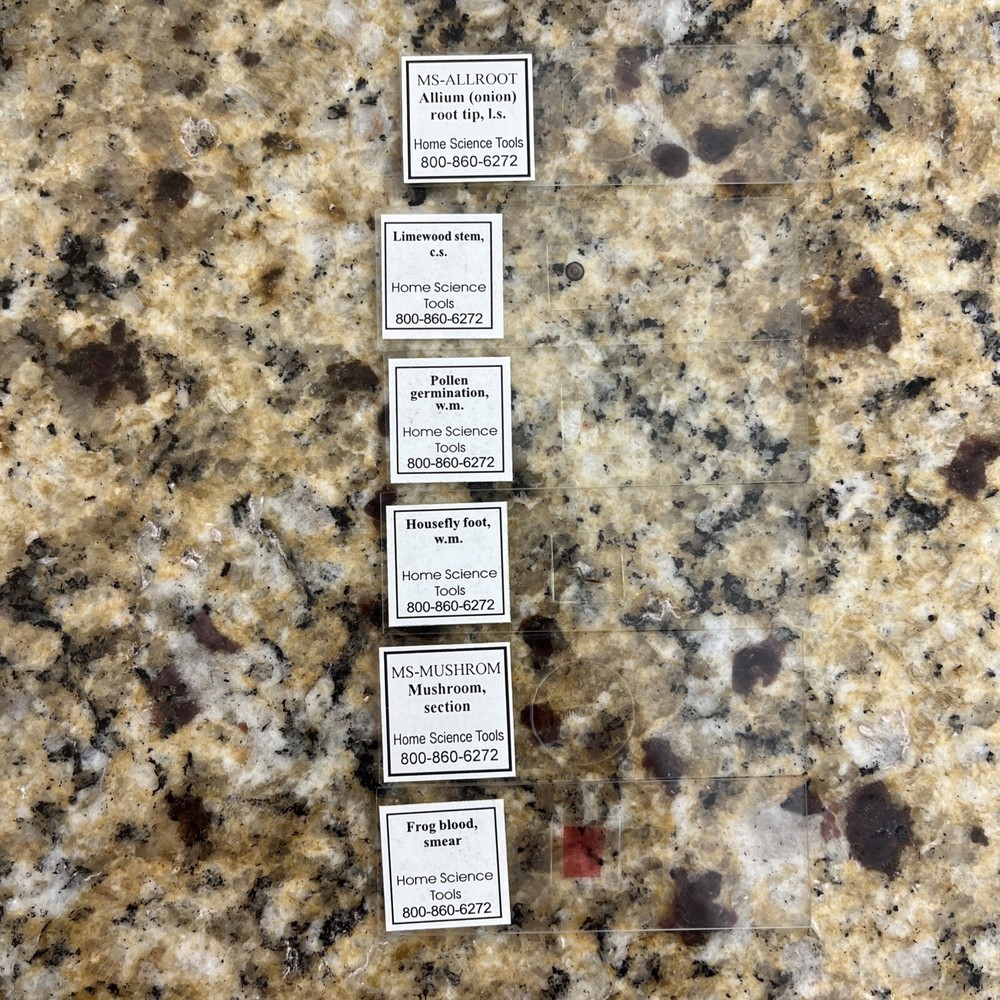 Learning Resources & Home Science Tools Lot Prepared & Blank Slides 60 Specimens