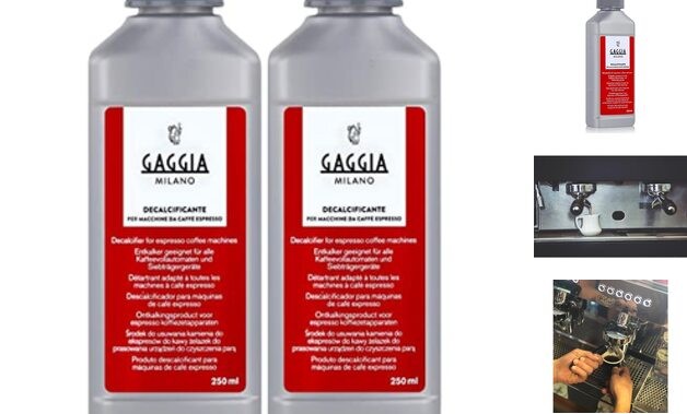 Gaggia Decalcifier Descaler Solution 250ml (2 Bottles)