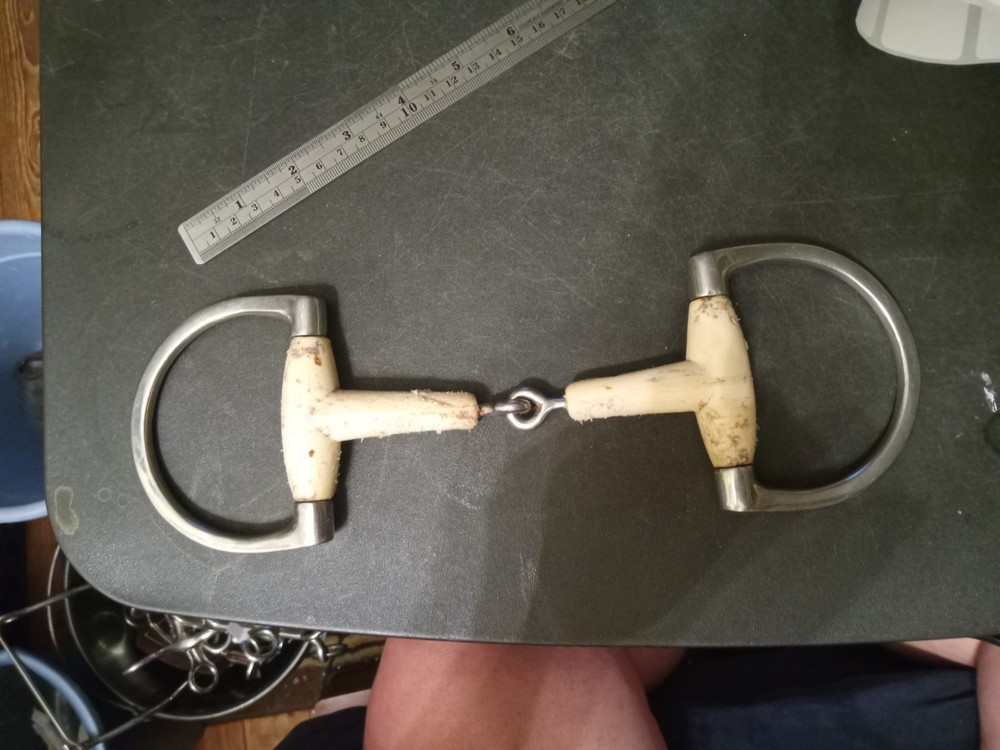 used D-ring snaffle bit 5 in mouth  happy mouth