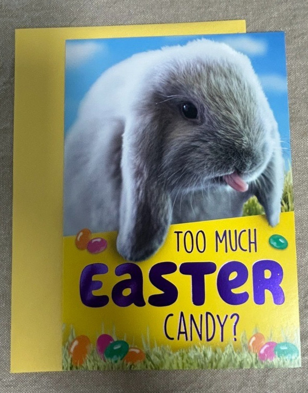 Happy Easter Greeting Card & Envelope ~ Too Much Candy? ~ Funny