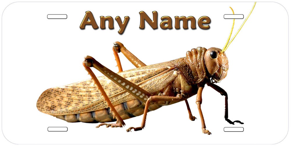 Locust Any Name Personalized Novelty Car License Plate
