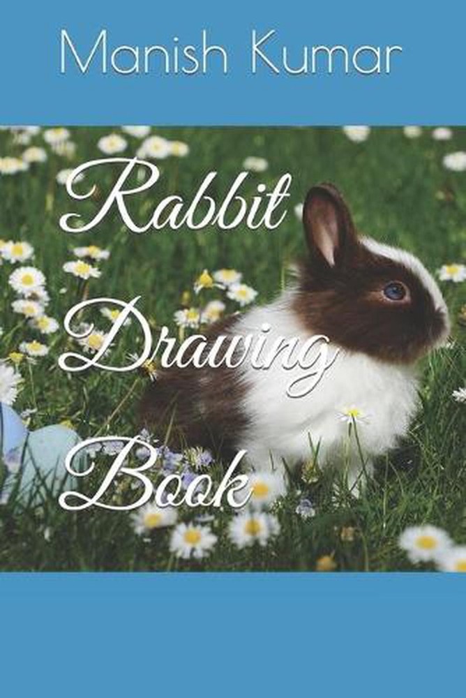 Rabbit Drawing Book