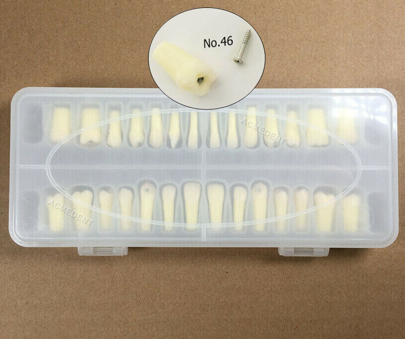 Dental Caries Remove Teeth Decayed Removing Practise Model Dentist Student Test