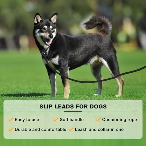 Lynxking Reflective Slip Lead Rope, Training Leash No Pull
