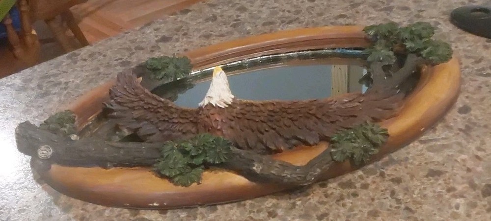 Soaring Bald Eagle Mirror
