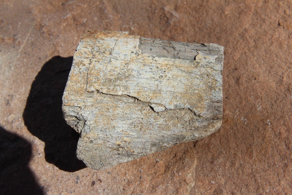 Dinosaur Bone, Lab Grade, Medium Bones, 2.5" to 3.25"