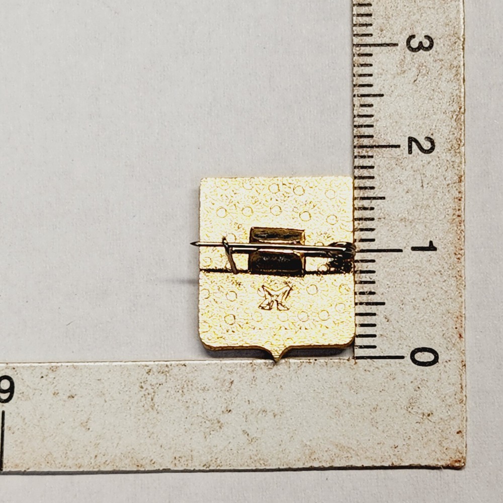 Vintage Russian Pin. B2.