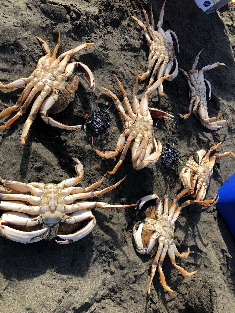 Crab Snare ELITE Crabber Grabber 360