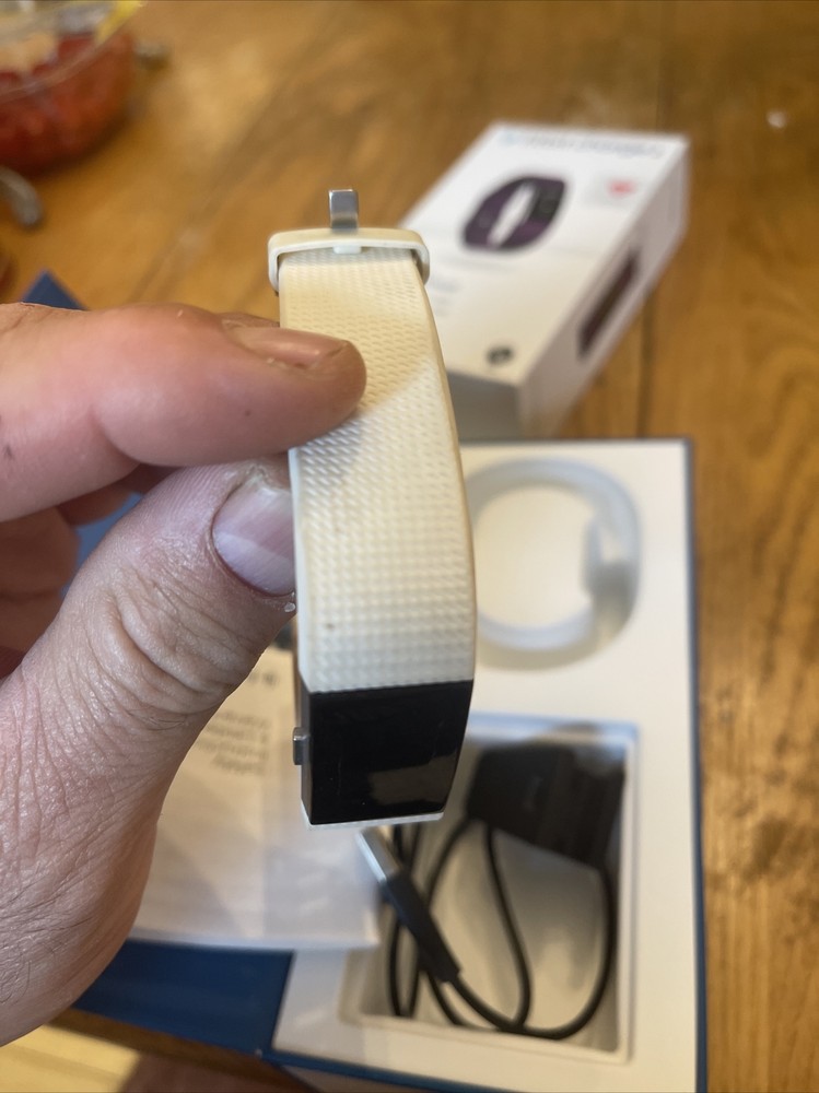 Fitbit FB407STES Fitness Tracker