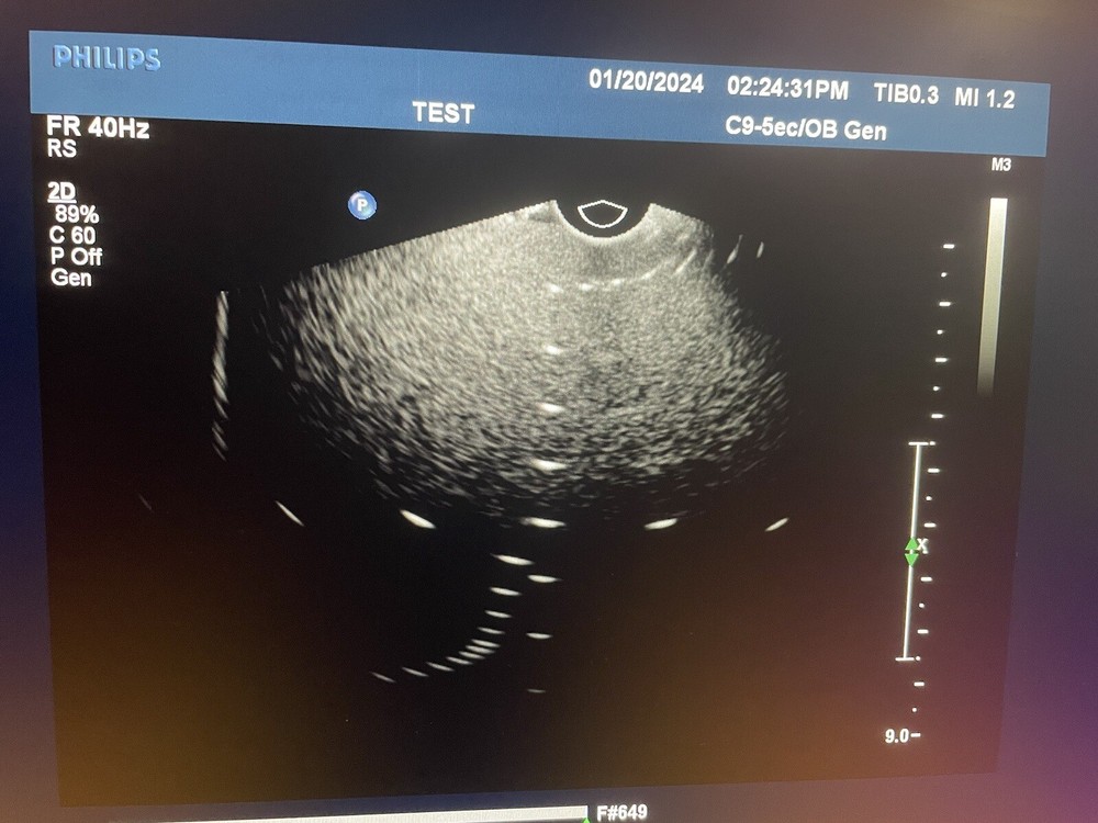 Philips C9-5ec Ultrasound Transducer Endocavity Curved Array Broadband Probe