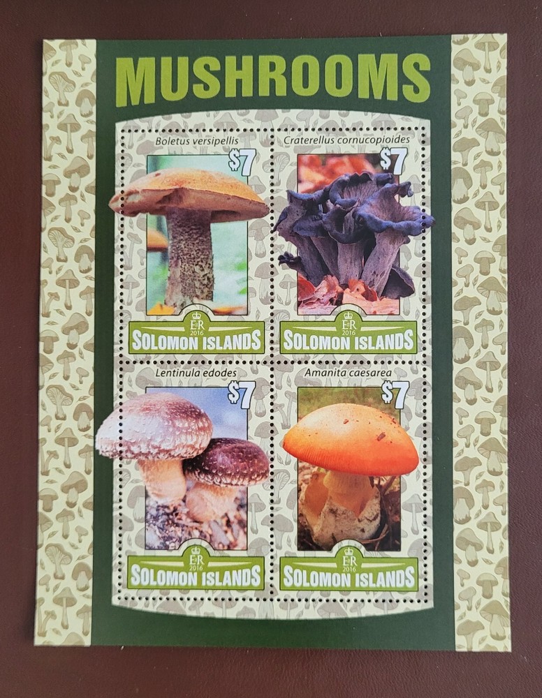 Solomon Island 2016 / Flora - Mushrooms / 4v ms