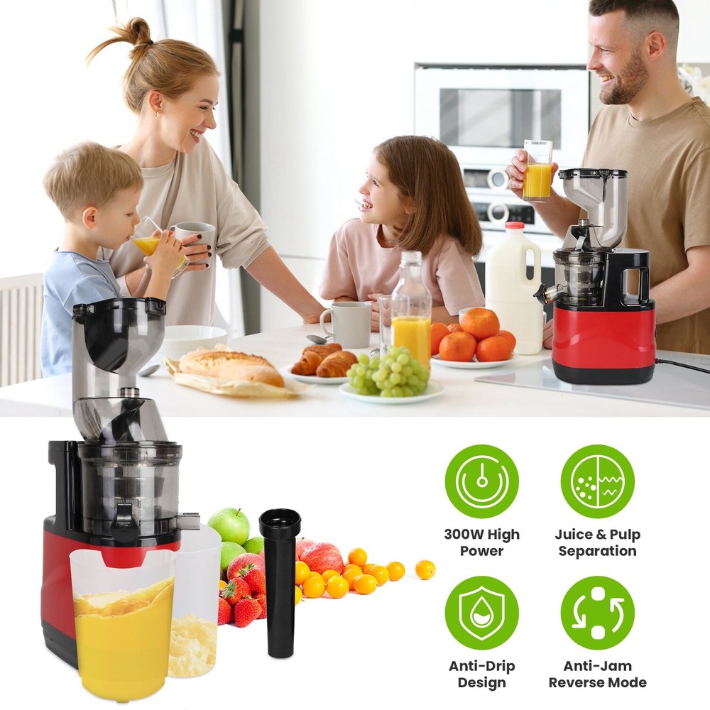 300W Cold Press Juicer Machine Slow Masticating Juicer Fruit Vegetable Juicer