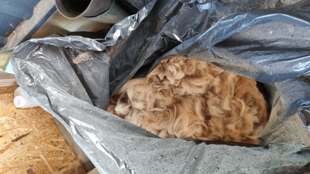 raw alpaca fiber