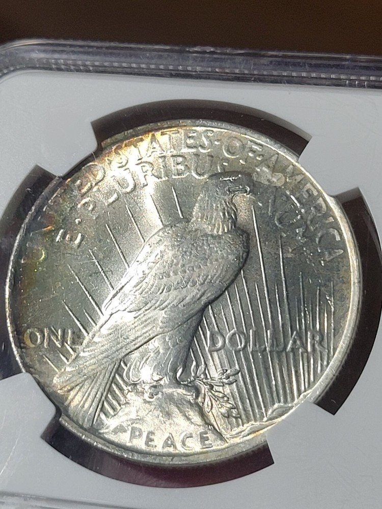 1922 $1 Peace Dollar MS65 NGC Toned