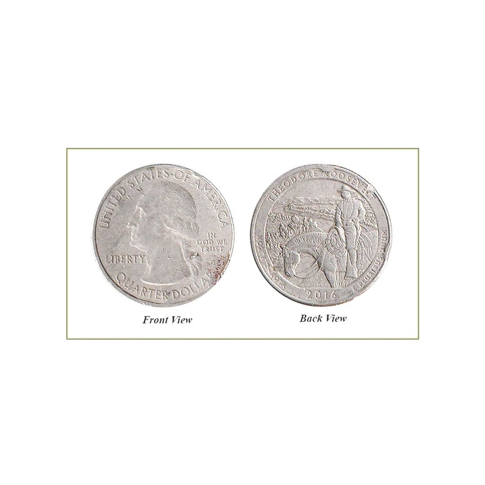 USA Quarter Dollar Coin _ Issue 2016