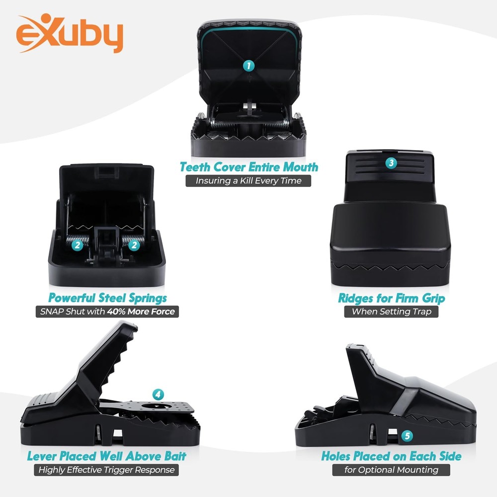 Squirrel Trap (2 Pack) - Consistent & Humane Kill Every Time with no Failures...