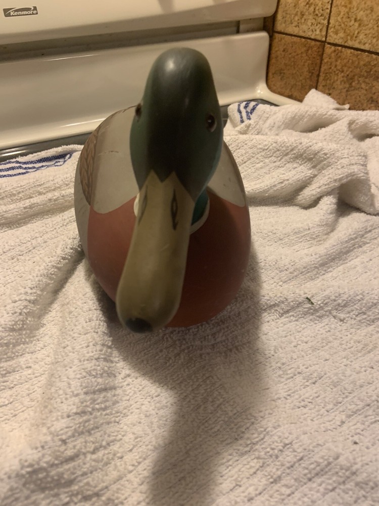 Stoney Point Duck Decoy
