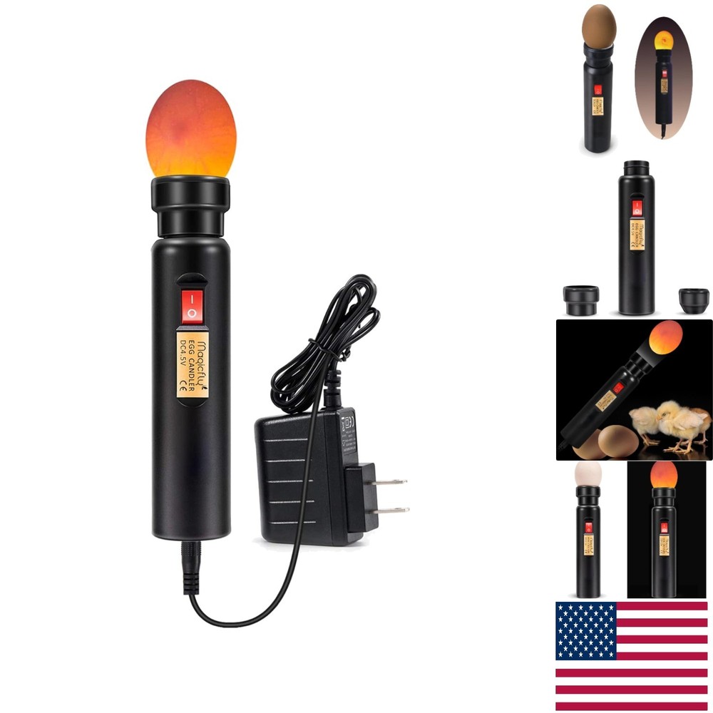Durable LED Egg Candler with Long Cable - Ideal for Incubation & Education