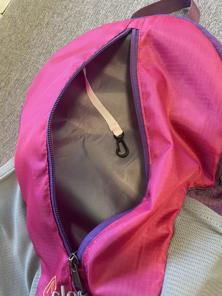 Cloudveil Backpack Pink Purple Lightweight Removable Foam Insert