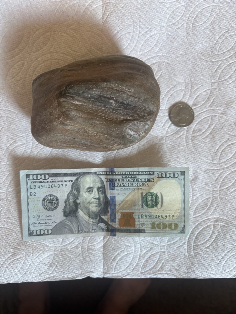 Petrified Wood