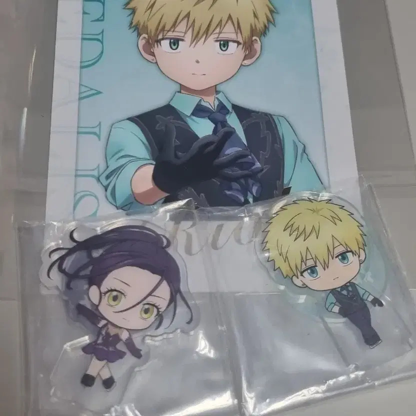 Medalist Hikari Ryou Goods Set Official