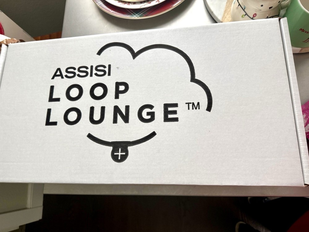 Two Assisi Loop Lounges - Small & Large plus Controller