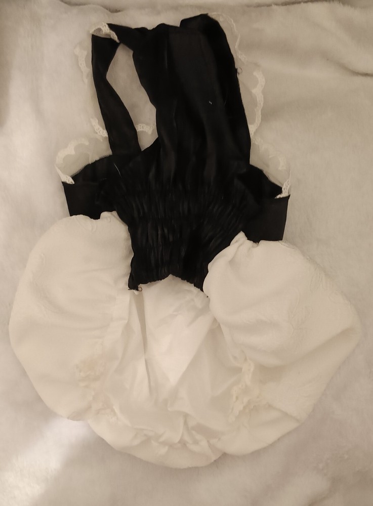 Pet Clothes Bundle: for sm/med sized dog &/or cat. sizes: Small/Medium.