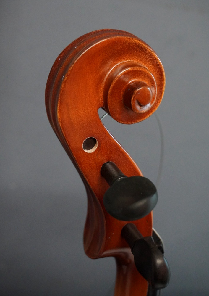 Unlabeled Violin with Case