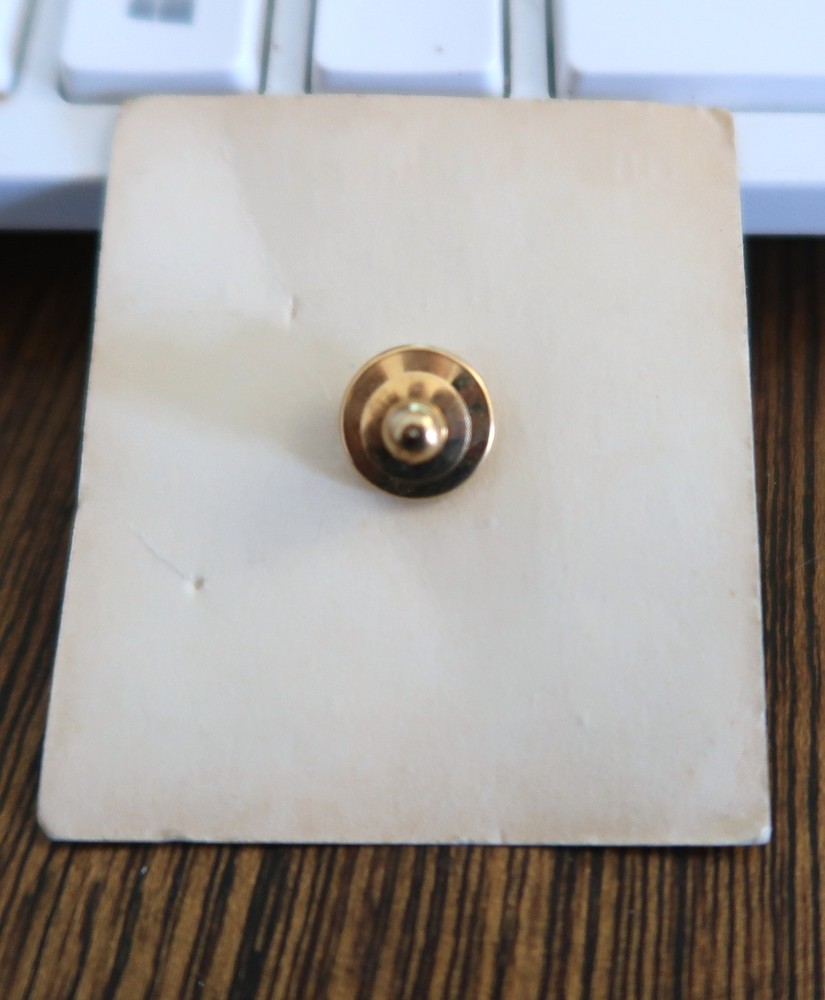 Local 599 UAW Membership Recognition Emblem Pin