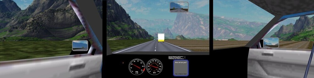 Pro Driving Simulator Software for Training and Testing - 3 Monitor