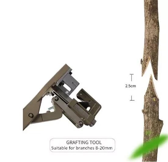 AGTEC TopSlice Grafting Tool