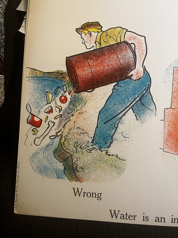 VINTAGE A.J. Nystrom Elementary science chart Conservation chart - 24” x 18.5”