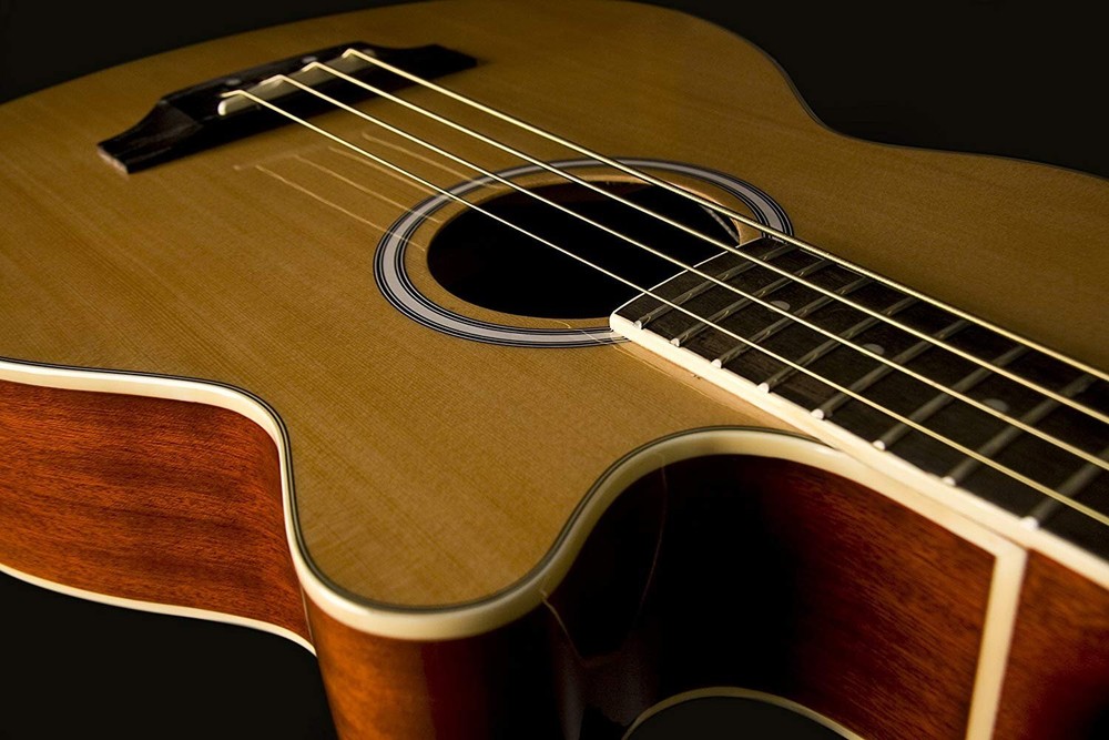 Washburn AB5K-A 5-String Acoustic Guitar,