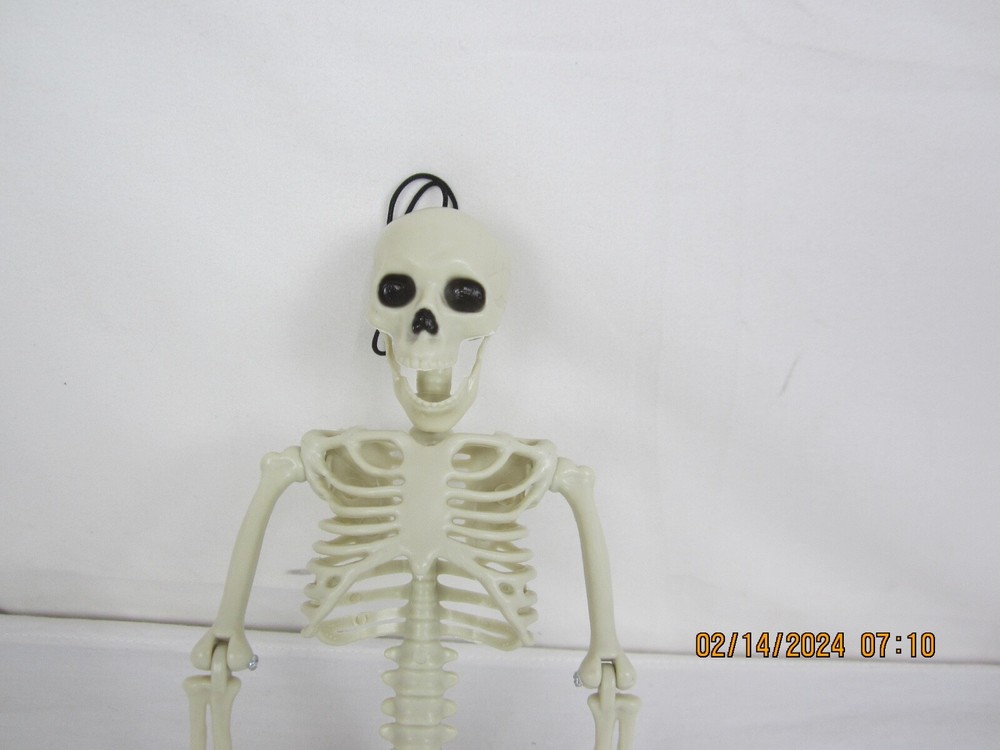 Halloween 14" Hanging Posable Skeleton
