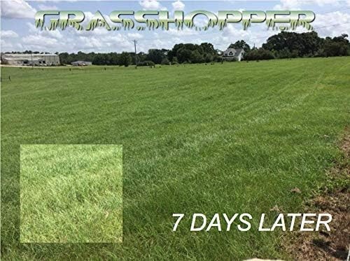 Grasshopper 36-0-8 Foliar Fertilizer