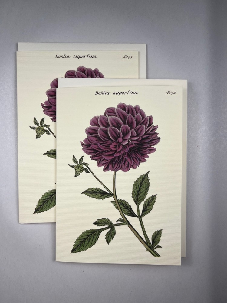 Cavallini & Co. Botanical Boxed Notecards, Assorted