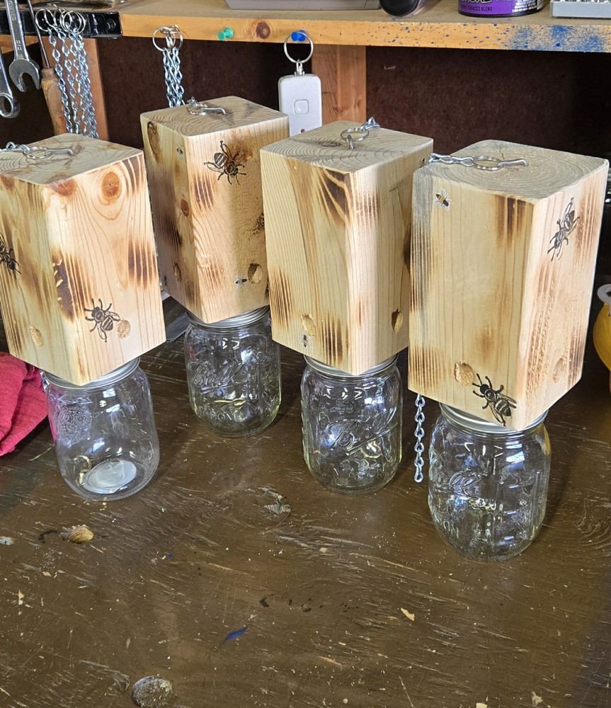 CARPENTER 'BORE' BEE TRAPS THAT WORK!