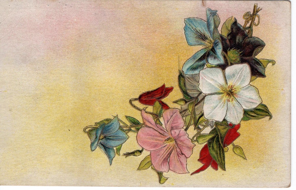 FLOWERS - PC1210
