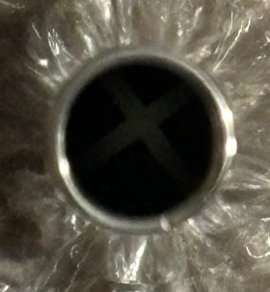 Stainless steel beer nozzle