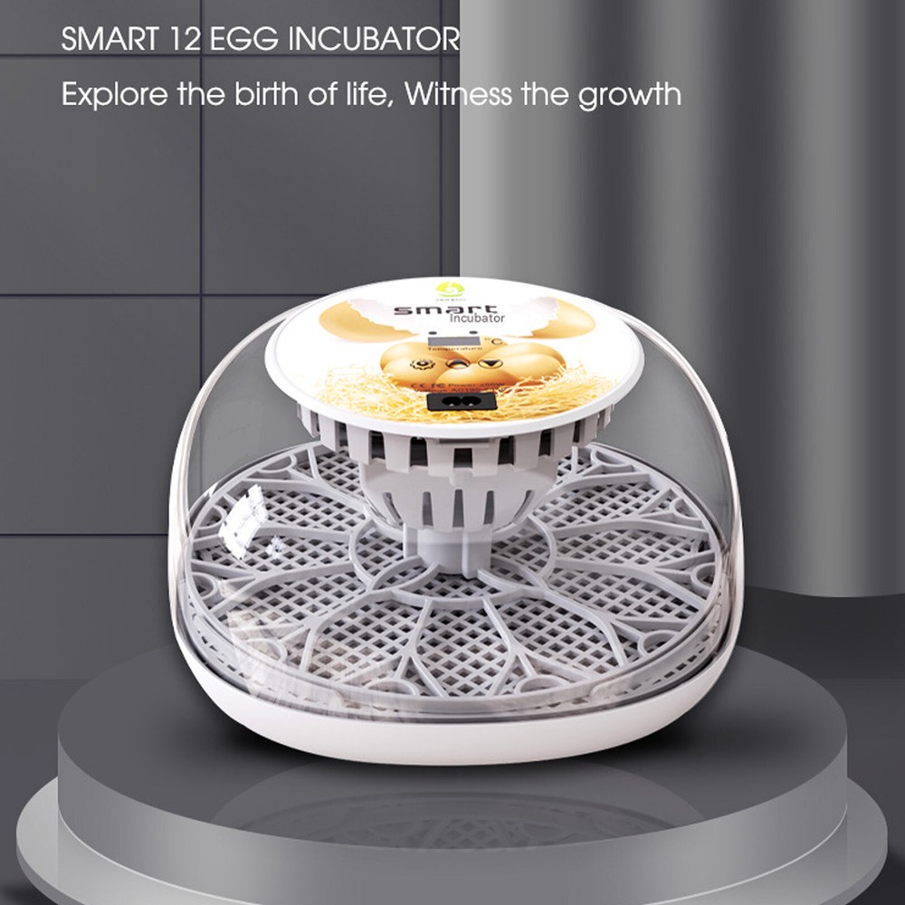Incubators for Hatching Eggs 12 Eggs with Automatic & Humidity Control