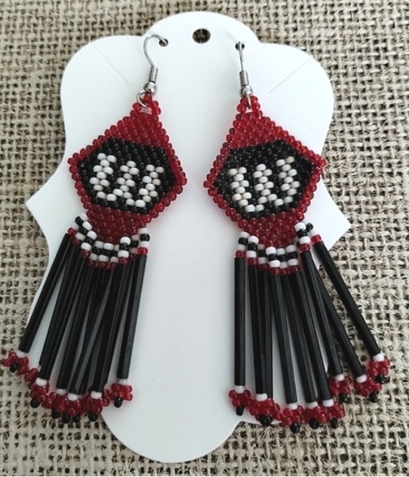 Long Beaded Native Style Earrings