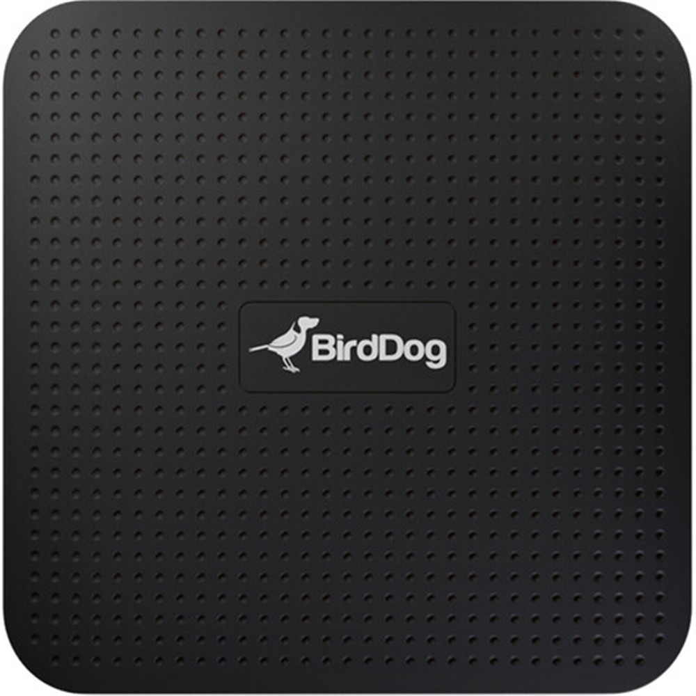 BirdDog Play 4K NDI Player Bundle