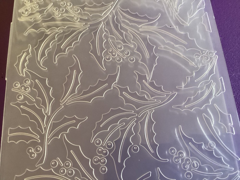 Anna Griffin Slimline Holly Toss Embossing Folder