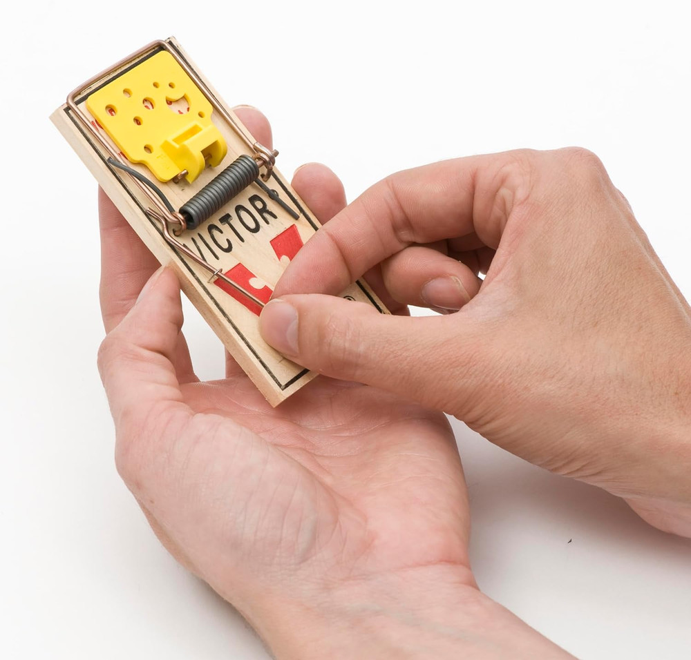Easy Set Mouse Trap - 2Pk