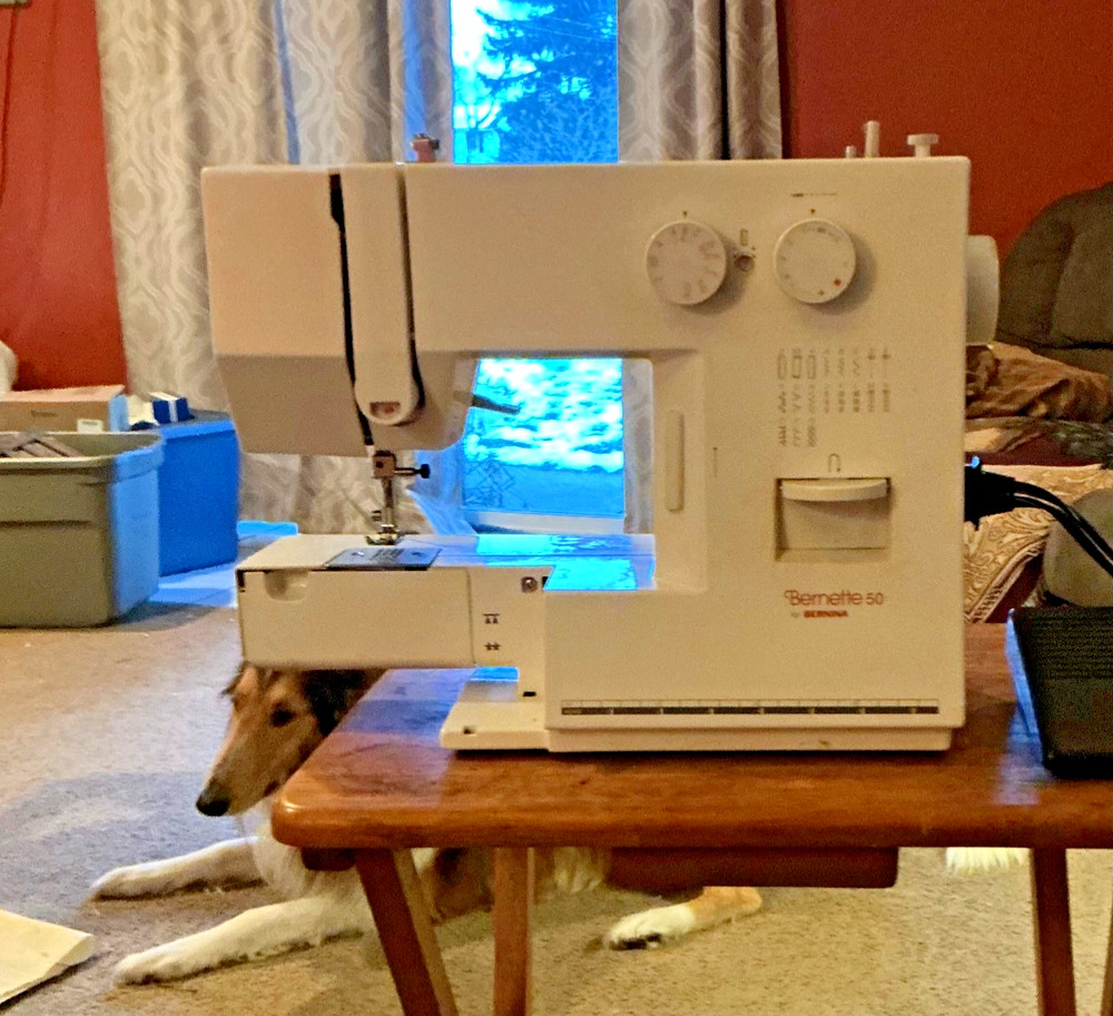 Bernette 50 for Bernina Sewing Machine..