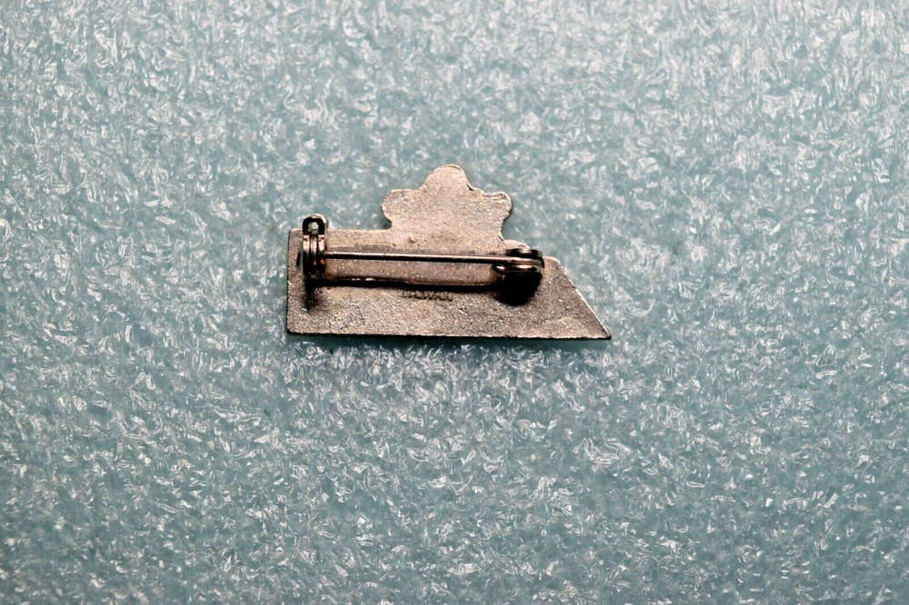 Blue Mountain Snowflake Ski Pin