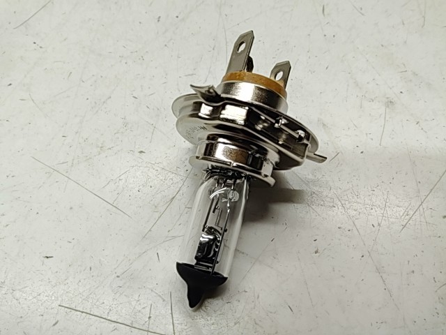 Bulb - 2000 Polaris NOS